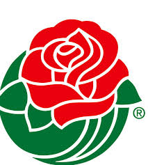 Rose Bowl Rose